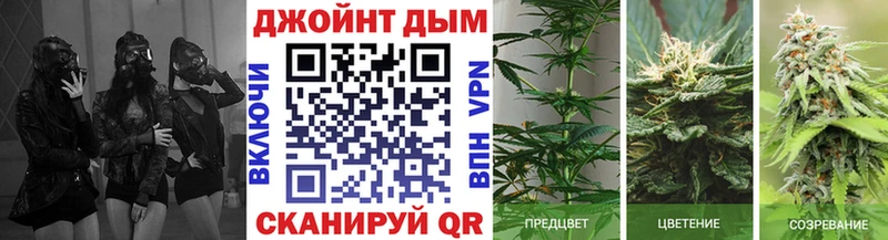 Меф Урус-Мартан