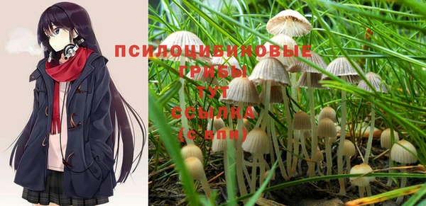 mdpv Лиски