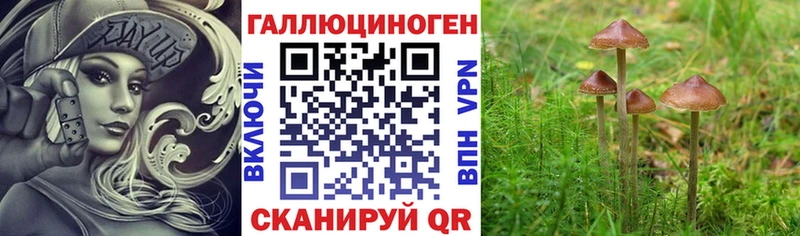 МЕГА зеркало Урус-Мартан Псилоцибиновые грибы Psilocybe