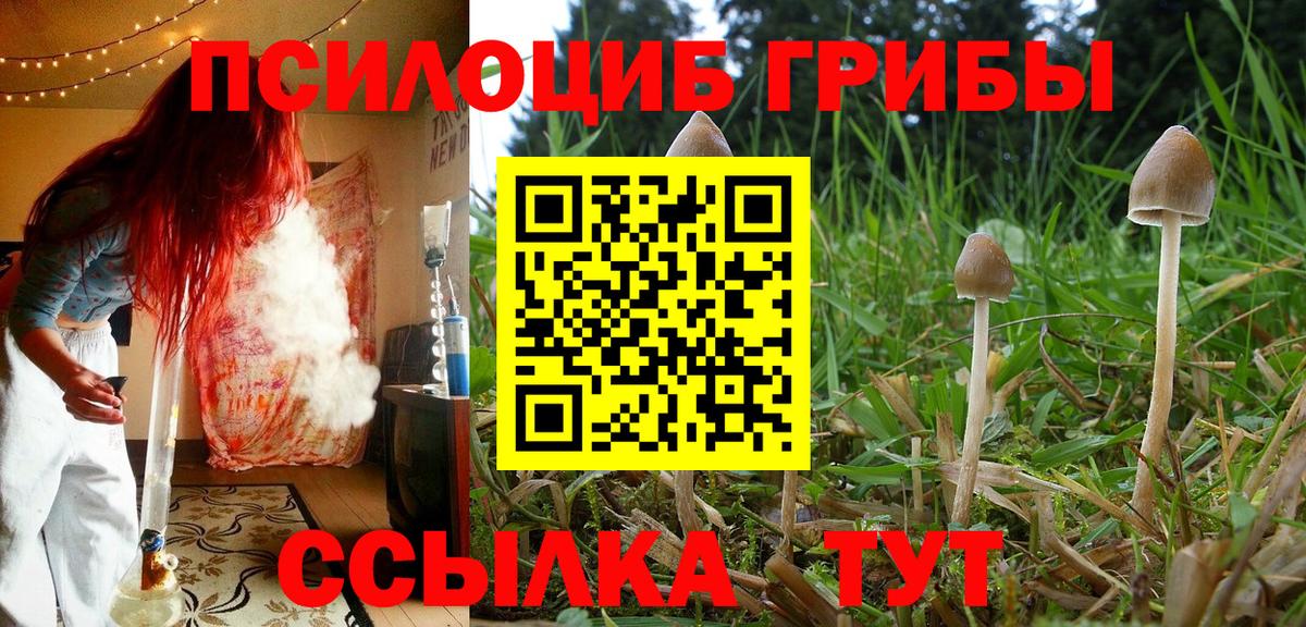 Галлюциногенные грибы Magic Shrooms  что такое   Урус-Мартан 