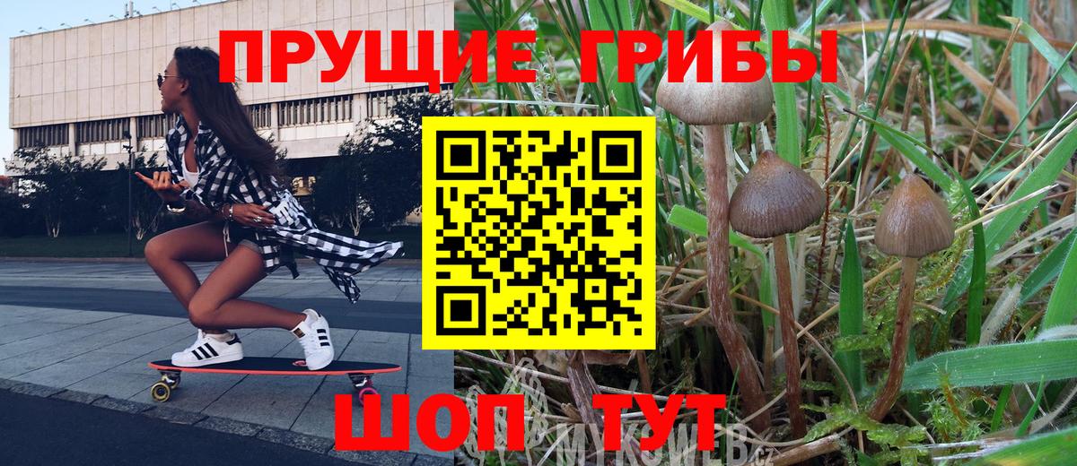 Героин Урус-Мартан