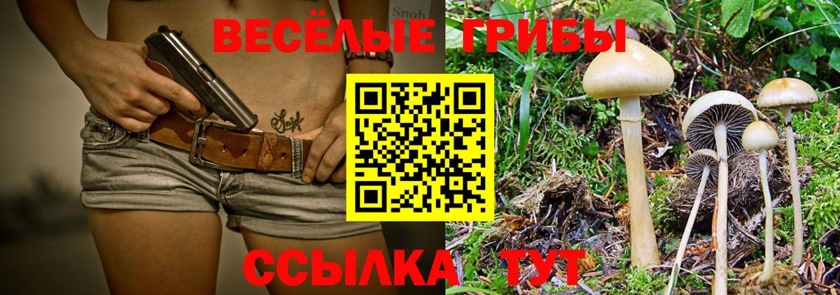 Галлюциногенные грибы MAGIC MUSHROOMS  Вход с VPN  Урус-Мартан 