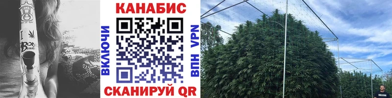 Бошки Шишки Bruce Banner  Урус-Мартан 